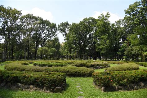 圓形花圃|【圓形